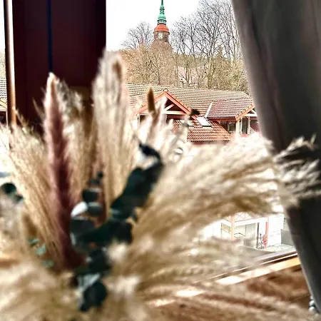 Oasis Appart - Ruhe Im Elbland - Balkon - Netflix - Tg
